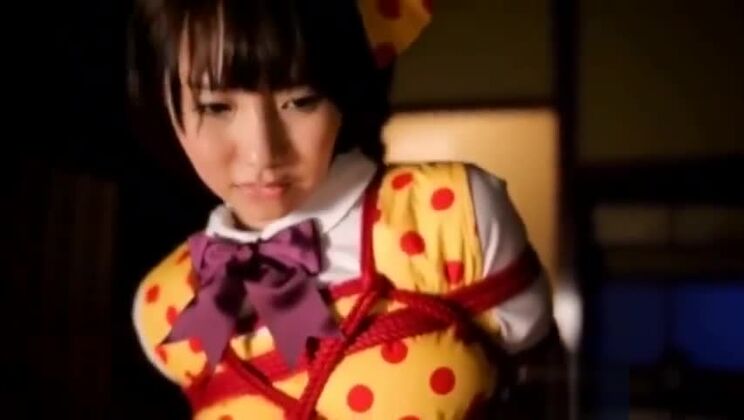 Очаровательная японская шлюха