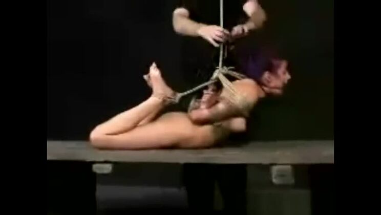 ИНСЕКС - фиолетовый