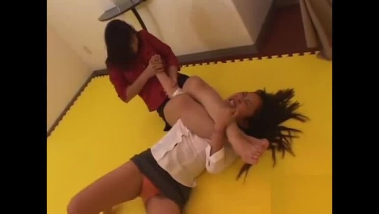 японская кошачья драка 1-5