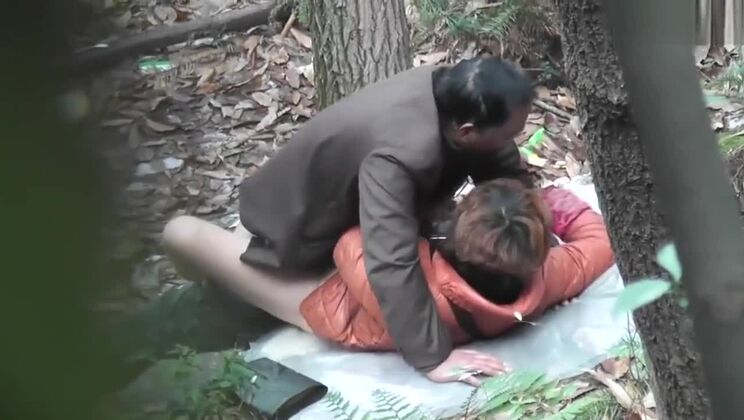 Китайский папаша Лес 33